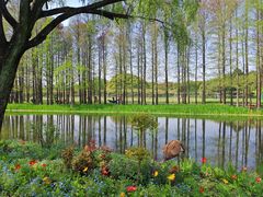 -上海共青森林公园