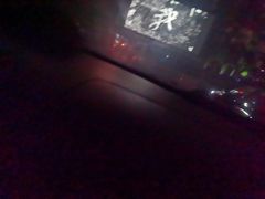 -枫花园汽车电影院(朝阳公园店)