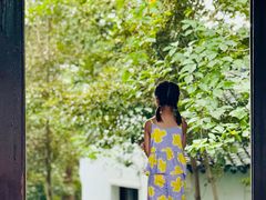 -上海佘山国家森林公园天马山园