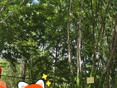 -尧山大峡谷漂流