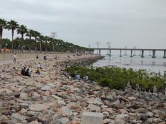 -宝安西湾红树林湿地公园