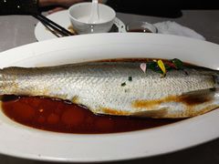 -醉庐·新上海菜(南京西路店)
