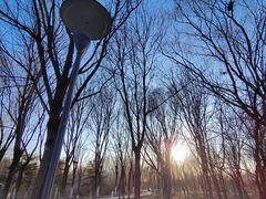 -大兴滨河森林公园