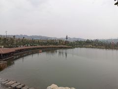 -枫香湖儿童公园