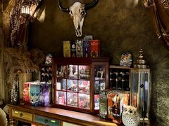 -雪灵魔法世界SHELLY’S TAROT(大良桂畔里店)