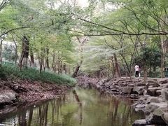 -龙井村