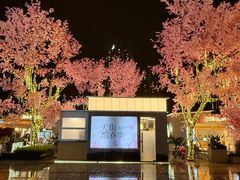-首开·龙湖成都西宸天街