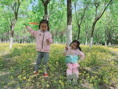 -永定河休闲森林公园