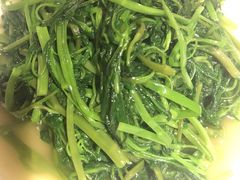 -桃花源中餐厅(金茂豪华精选酒店)