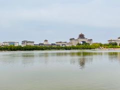 -莲花池公园