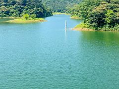 -佛山市三水区大南山森林公园