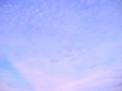 -洞里萨湖