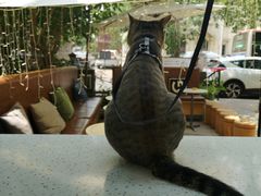 -叁秋咖啡 SANQIU COFFEE(天津河北路店)