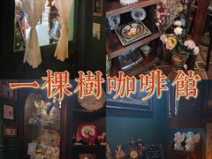-一棵树咖啡馆(泉乐坊店)