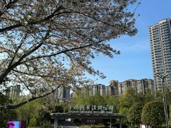 -洋湖国家湿地公园