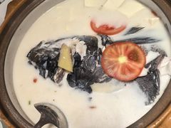 -全乐鱼馆·淳牌有机鱼直营店