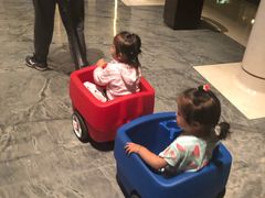 -上海崇明金茂凯悦酒店