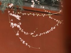 -西安市广仁寺