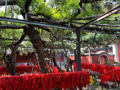 -红螺寺