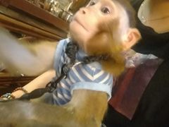 -盤古Spa泰式古法抓龙筋(鲁迅路店)