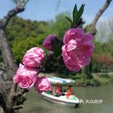扬州瘦西湖