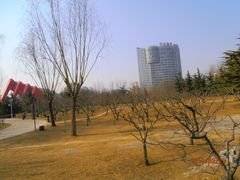 景点-康庄公园