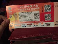 -奥体中心游泳馆