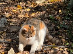 -狼山风景名胜区