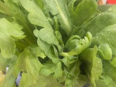 -芦月轩羊蝎子(太平桥店)