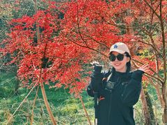 -镇江市南山风景名胜区竹林景区