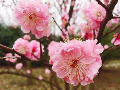 -石塘人家