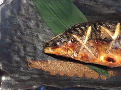 -Hatsune隐泉日式料理(三里屯太古里店)