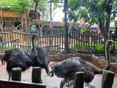 -长鹿旅游休博园