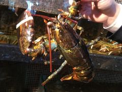 -海鲜e族(马王堆店)