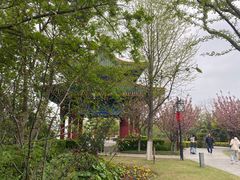 -阅江楼风景区