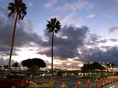 -In-N-Out Burger(LAX)
