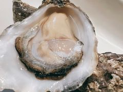 -Oyster Talks 四度蚝法餐厅