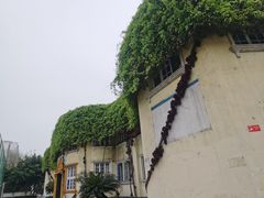 -金牛体育中心(金牛体育馆店)
