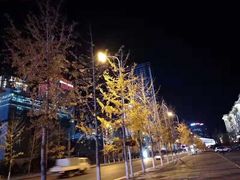 -东港音乐喷泉广场