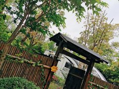 -上海海湾国家森林公园