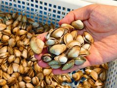-碧海银沙海鲜餐厅(恒大海上威尼斯店)