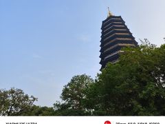 -红梅公园