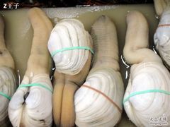 象拔蚌巨大啊-渔民新村(番禺总店)