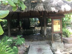 -三亚珠江南田温泉度假区