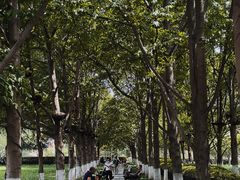 -辛亥革命博物院北区