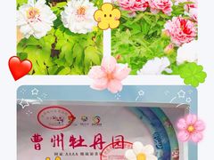 -曹州牡丹园
