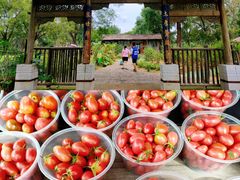 -承德避暑山庄景区