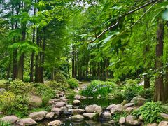 -上海共青森林公园