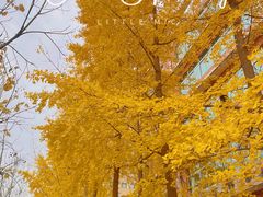 -西安高新医院