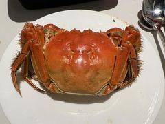 -黄记大闸蟹专卖店·活蟹·醉蟹